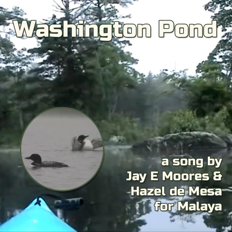 Washington Pond